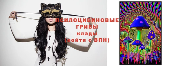 твердый Алексин