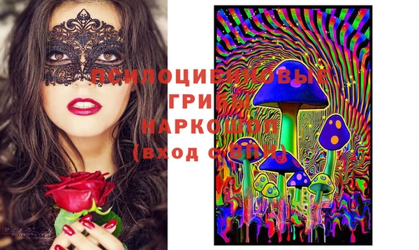 бошки Абдулино