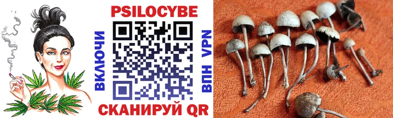 Галлюциногенные грибы Cubensis  Чулым 